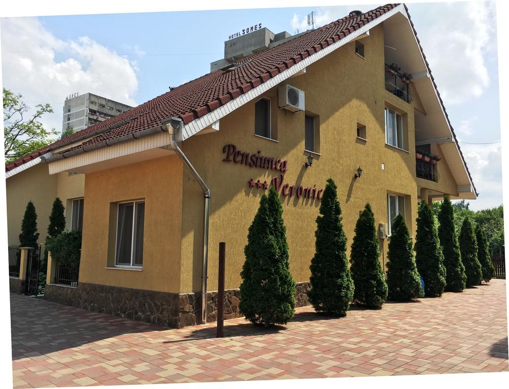 Pensiunea Veronica Băile Felix エクステリア 写真